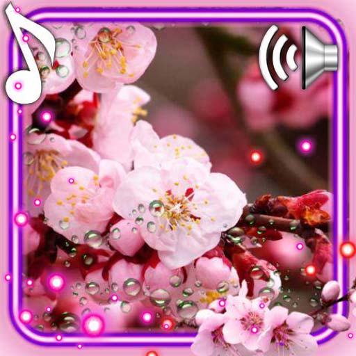 Sakura Red Live Wallpaper icon