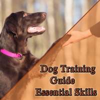 Dog Training Guide - Essential Skills