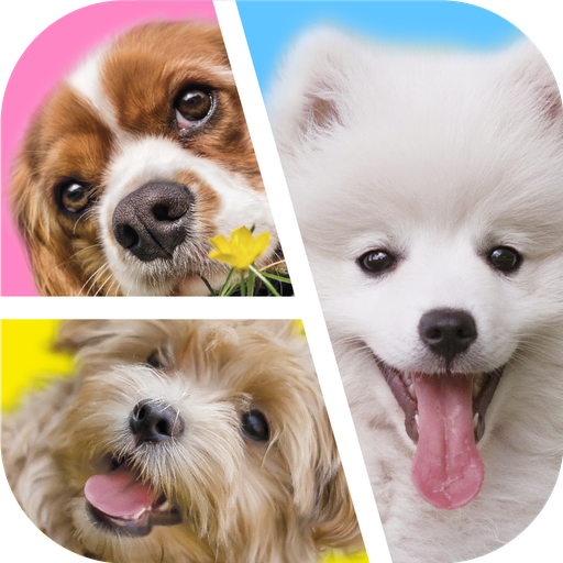 Dog Puzzles - Drag &amp; Swap icon