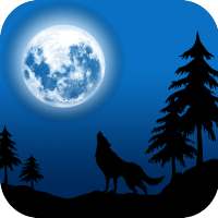 Horror Stories - Real life Stories