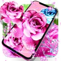 Rose pink water drop wallpaper on 9Apps