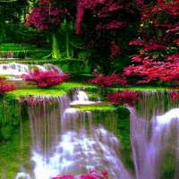 Waterfall Flowers LWP on 9Apps