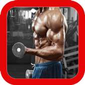 Gym Workout Fitness Practice with Video