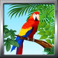 Sonneries Oiseaux blague on 9Apps