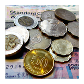 Coins Identifier icon