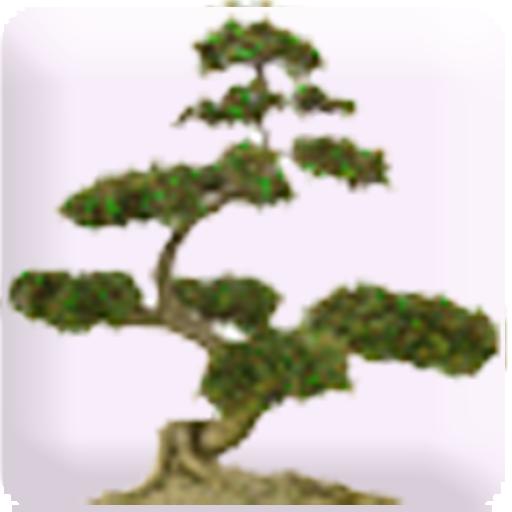 Mindful Attitude &amp; Meditation icon