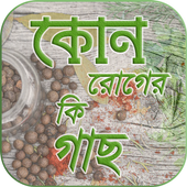 কোন রোগের কি গাছ icon