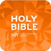 New International Version NIV