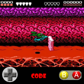 Guide NES : Battletoads Classic Game icon