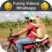 Funny Videos for Whatsapp icon