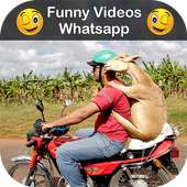 Funny Videos for Whatsapp