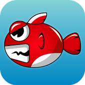 Angry Fish