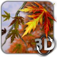 Autumn Leaves in HD Gyro 3D Parallax Wallpaper