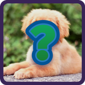 Guess the Animal - Quiz 2020 icon