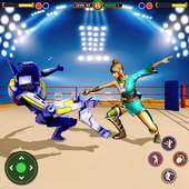 real robot ring fighting: superhero robot champion icon