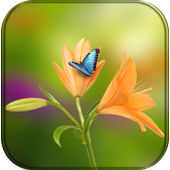 Flower Wallpaper for whatsapp icon