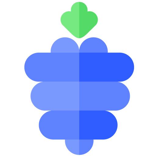 Raspberry Launcher icon