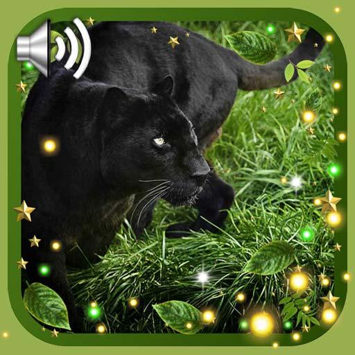 Pantera Forest LWP icon