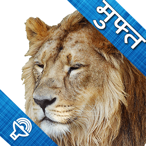 चिड़ियाघर, नन्हे बच्चों के लिए आइकन