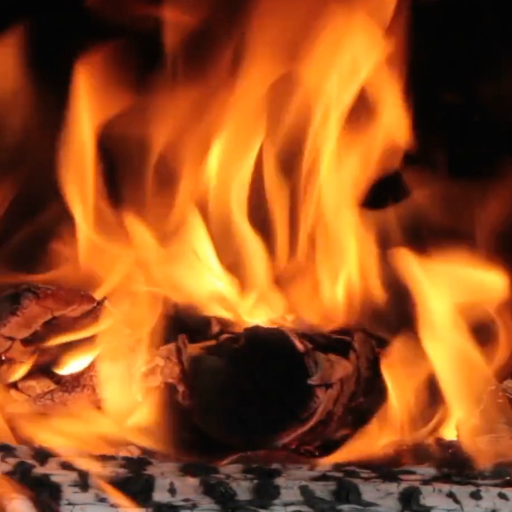 Real Fire Live Wallpaper PRO icon