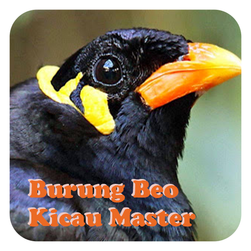 Burung Beo Kicau Master icon