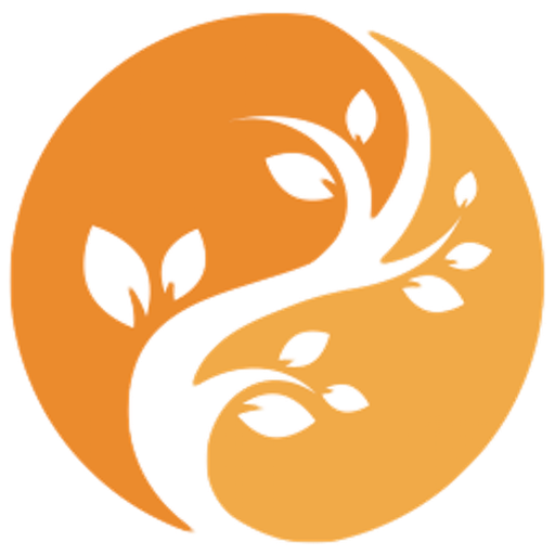 App Acupuntura Lite icon