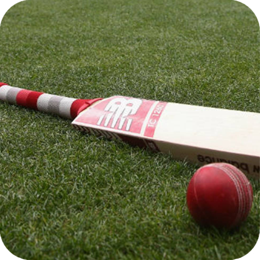 Cricket Bat Full HD Wallpaper icon