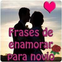 Frases de enamorar para novio con fotos