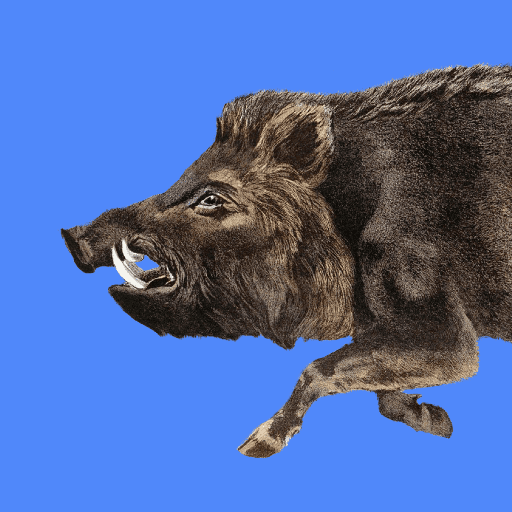 Кабанчик VPN icon