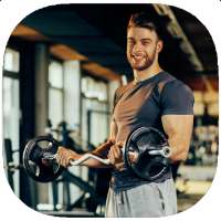 Weight Training Guide