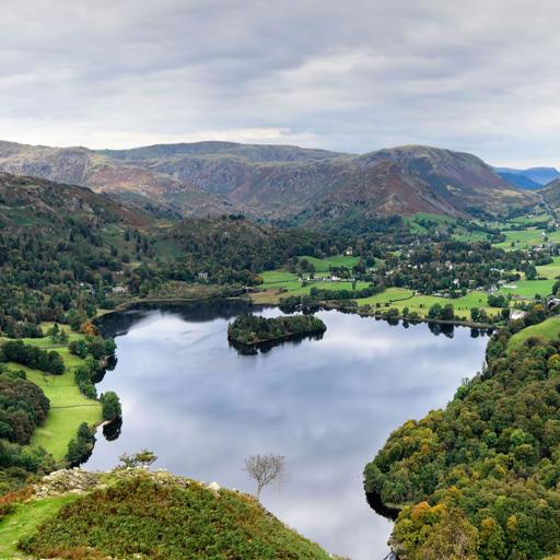 BF Best Backgrounds icon