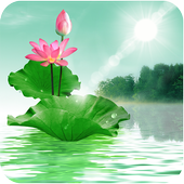 Lotus icon