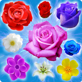 Blossom Crush Paradise icon