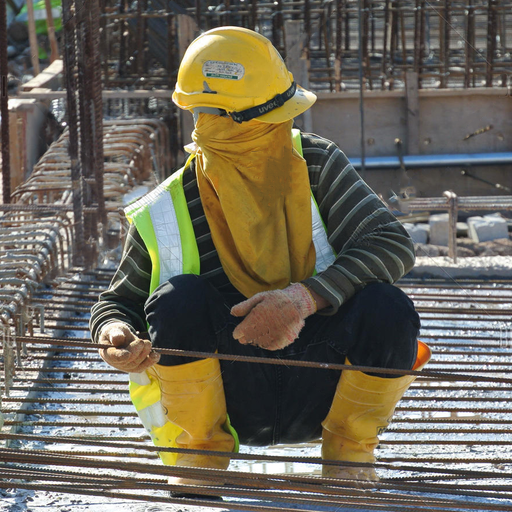 Foreigner Worker Status icon