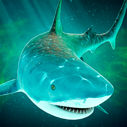 Sea of Sharks - Survival World of Wild Animals icon