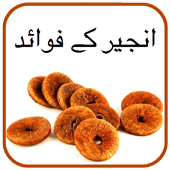 Anjeer K fawaid icon