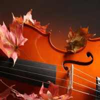 موسيقى تركية بدون نت on 9Apps