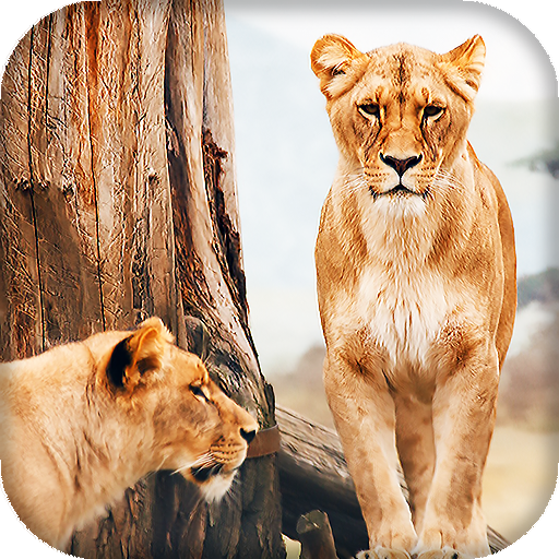 Lion Live Wallpaper : 7fon &amp; LWP icon