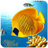 Fish Wallpaper icon
