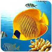 Fish Wallpaper on 9Apps