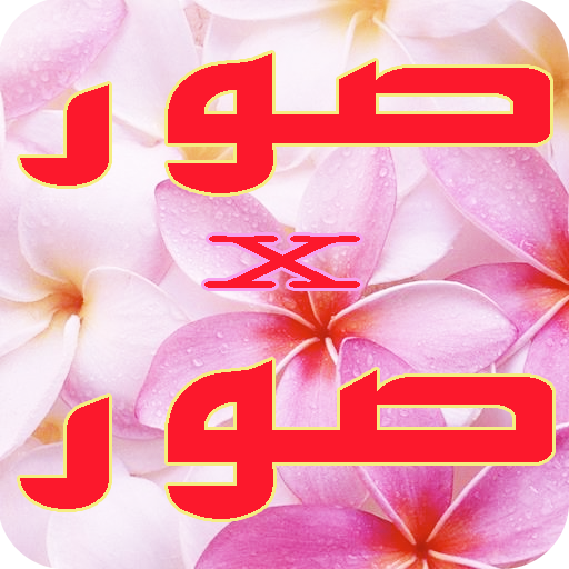 صور منوعة x صور متجددة icon