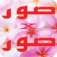 صور منوعة x صور متجددة on 9Apps