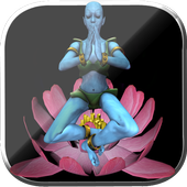 Chakra Experience icon