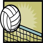 Volley Ball Laws icon