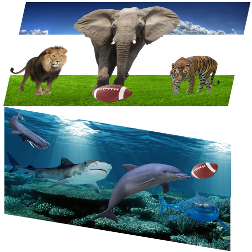 Animal Football icon