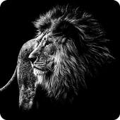 حكم تقوي شخصيتك أيقونة