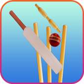 Live Cricket Score Schedule & News With AutoUpdate