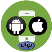 Freelancer Developer icon