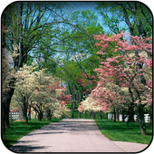 Garden wallpapers icon