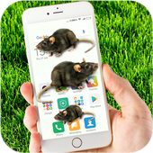 Mouse on Screen Funny Joke icon